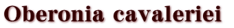 Oberonia cavaleriei 