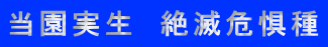 @Ŋ뜜