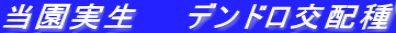 @@fhz