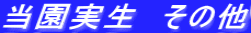 @̑