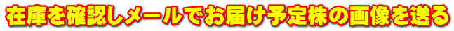 ݌ɂmF[ł͂\芔̉摜𑗂