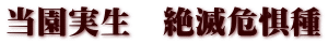 @Ŋ뜜